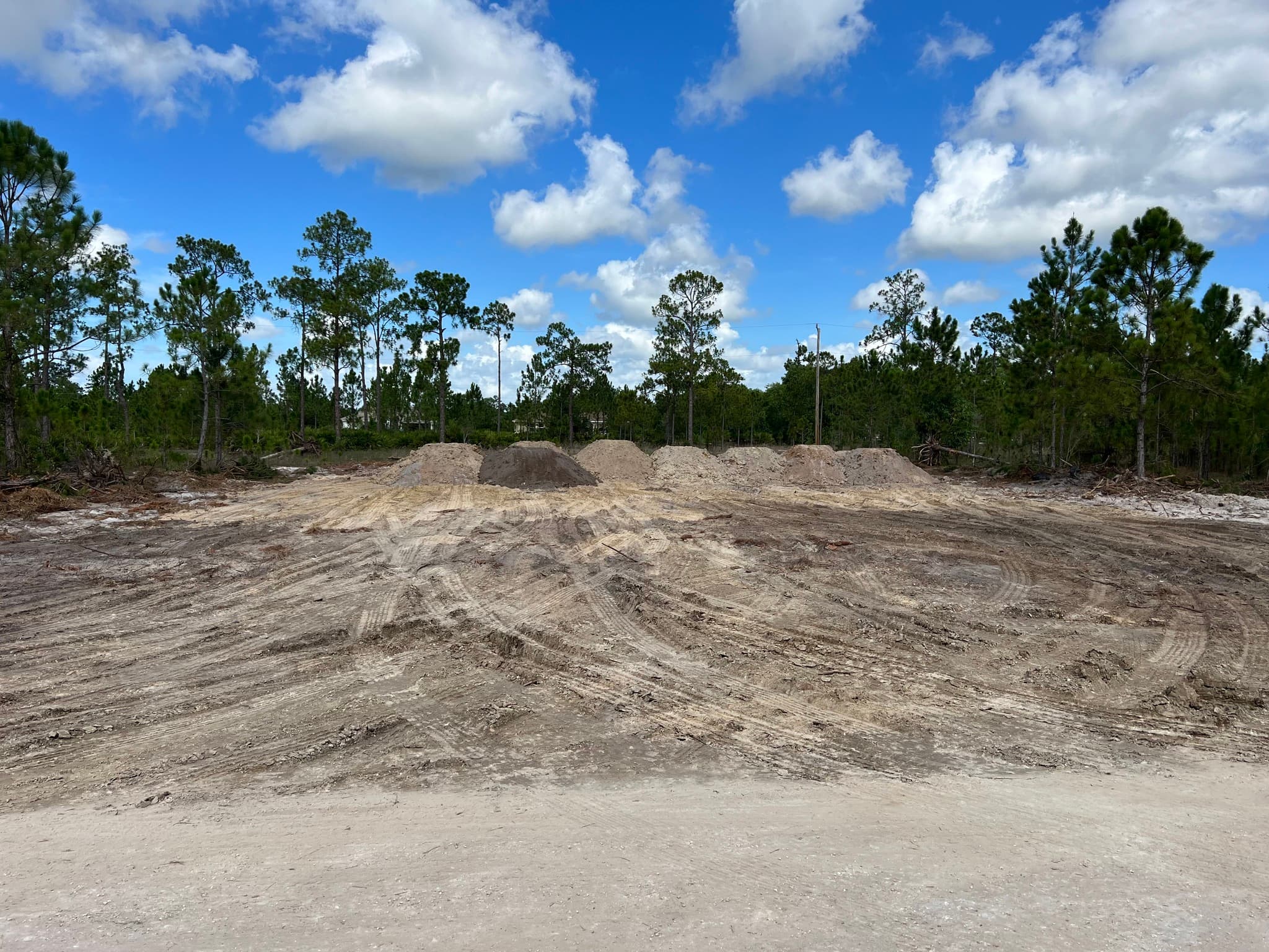 Cleared construction site featuring dirt mounds, tire tracks, and pine trees under a blue sky.