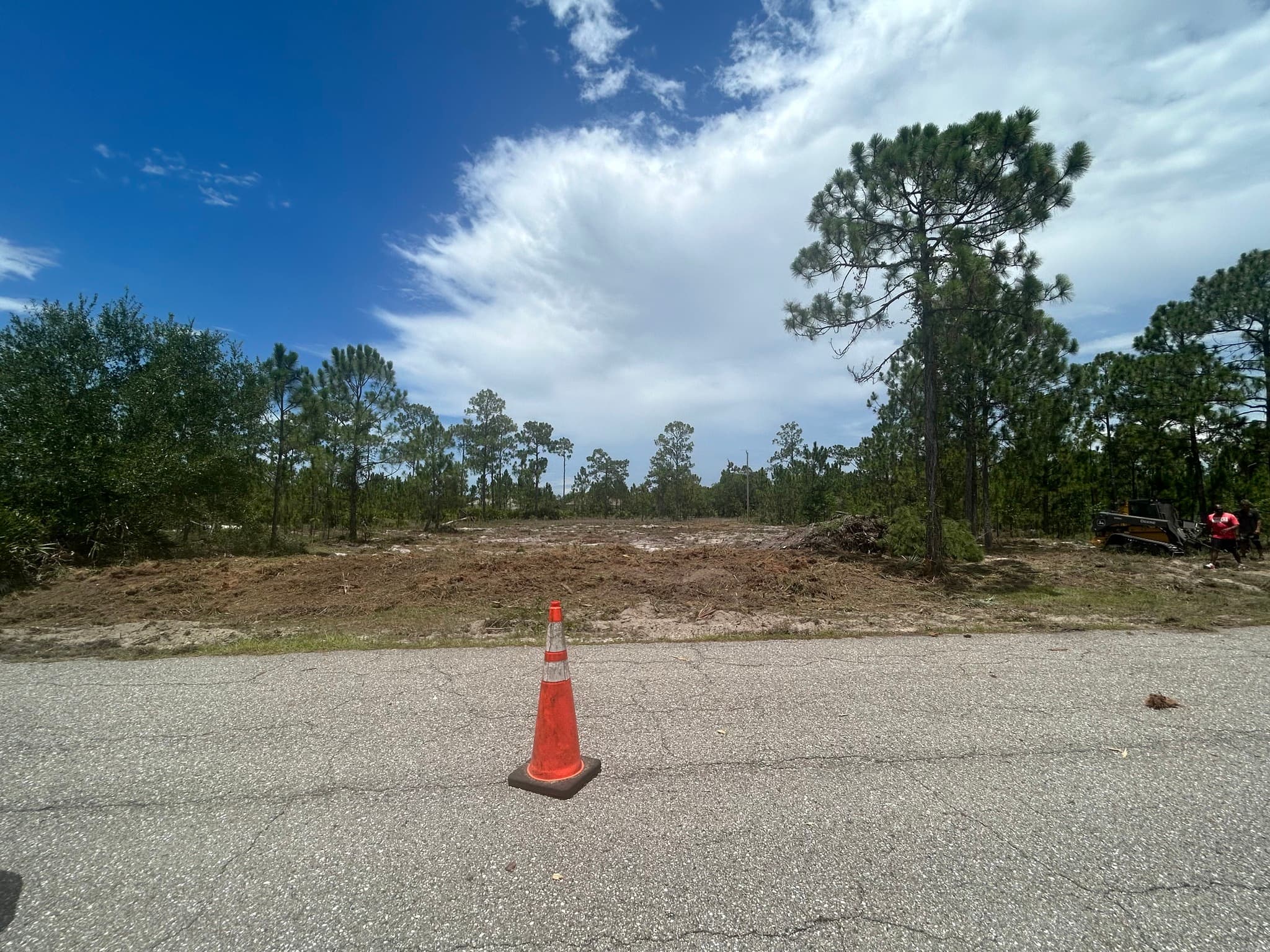 Orange traffic cone on a paved road before a cleared construction site with pine trees.
